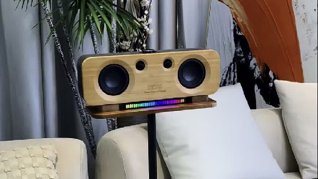 不只是音响，是你的私人音乐厅，声浪全景声音响