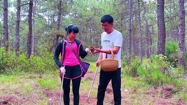 10多年未见的女孩，带她去深山捡菌，没想到有意外惊喜