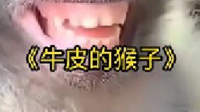 猴子成精了，居然会做饭