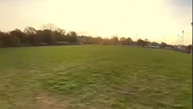 无人机炸机，结果遇到佛山来的一只鸟