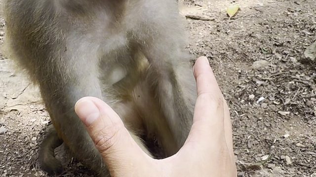 猴哥：不好，感觉脖子有一股神秘力量