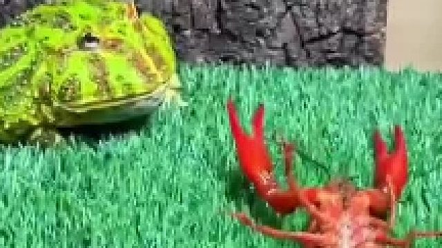 到嘴边的皆为可食之物