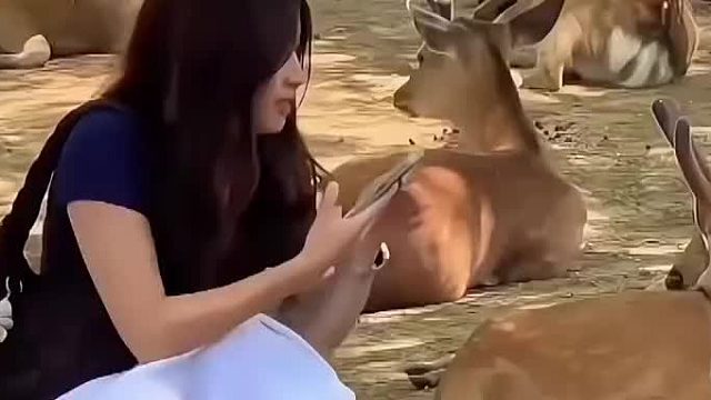 合影就合影吧，你非摸它鹿角干嘛？