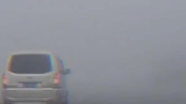 男子开车遇大雾交警回答有被笑到，网友：满口实话，有被笑到