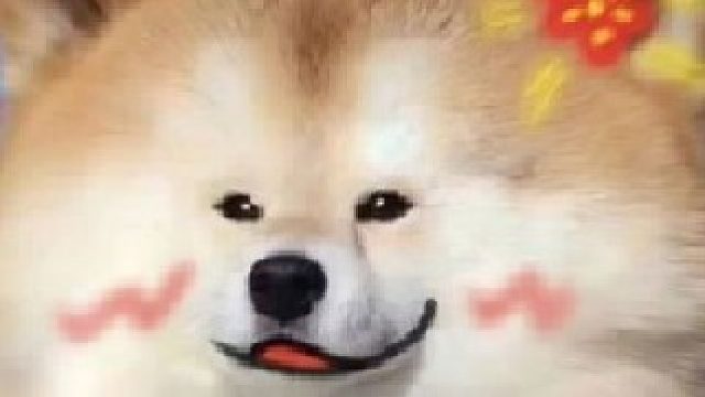 这确定不是在开签售会？好幸福啊，我现在去还来得及吗