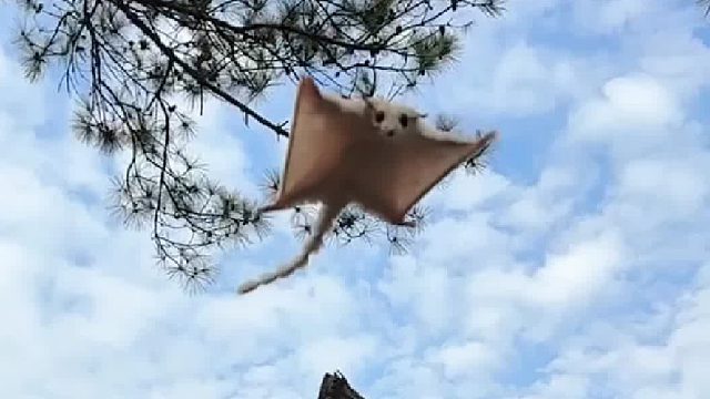 有时候，帅是一种感觉