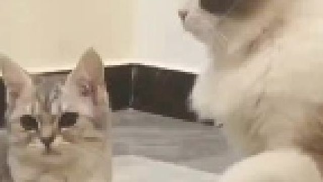 简单直接等啥啊