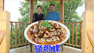 老婆子想吃螺絲，食叔買12斤貓眼螺做成香辣口的，老婆子吃美了