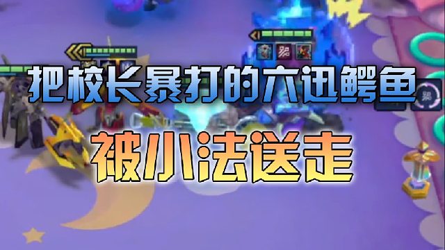 暴打季多鱼的鳄鱼被小法送走