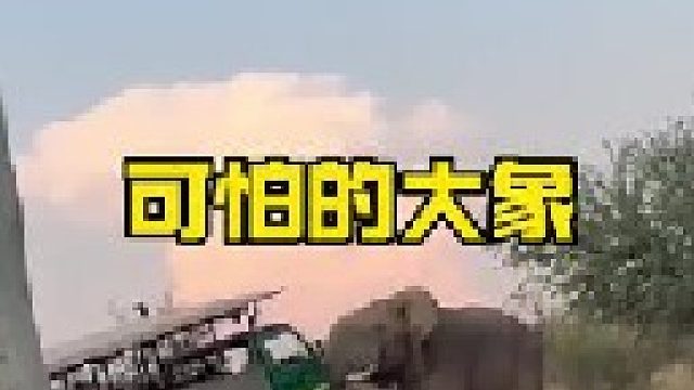 超级大象到底有多么厉害