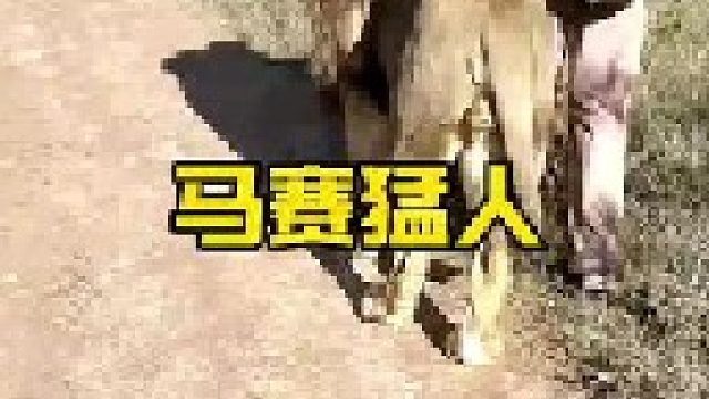 赤手空拳制服雄狮的男子