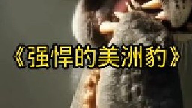 美洲豹太强了，轻松松松就能把鳄鱼打包带走