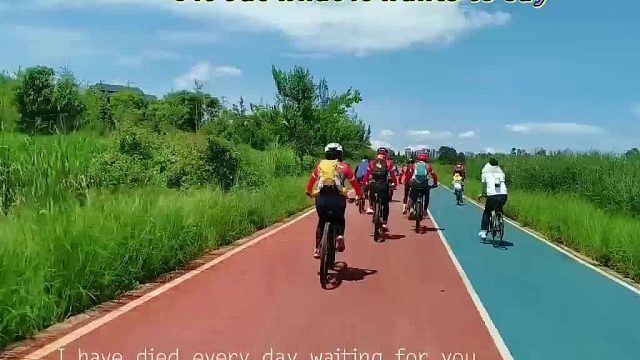 晨露与车轮 2025年7月19日