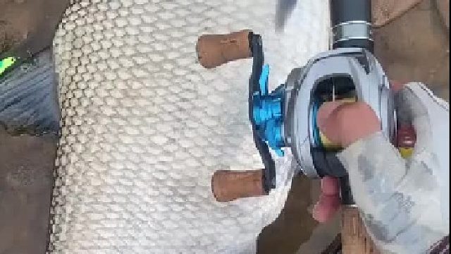 钓鱼要到杭电钓，不到杭电钓不到