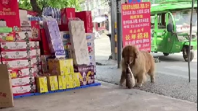 那包狗粮7.9块钱，哎我的鱼啊