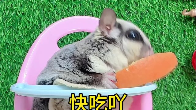 今天的嘴是借来的。