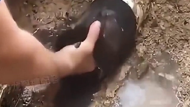 我的名字叫顺溜