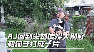 AJ回到尖勾傳媒大別野，和狗子打成一片