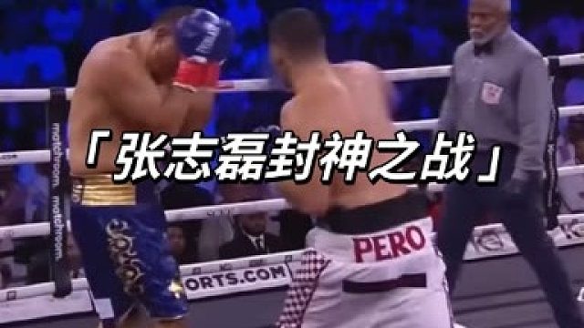 张志磊VS赫尔戈维奇全程讲解！！  (3)