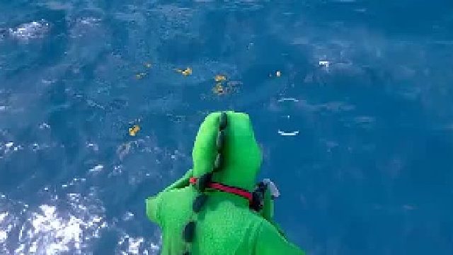 那么多的屎黄龙在游泳？