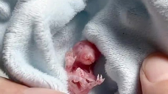 尽管知道很难，可是我和它都不想放弃