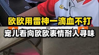 歐歐用雷神一滴血都打不過(guò)，寵兒看向歐歐的表情耐人尋味