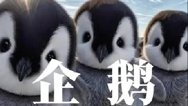 冰天雪地的南极洲企鹅，常常双双对歌鸣唱，一起用尖嘴对着天空