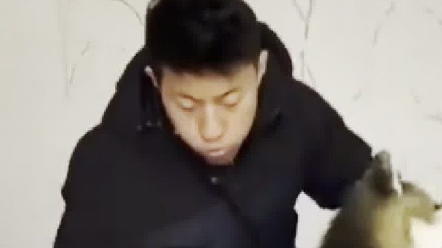 牛牛：你脑子里天天只想着怎么霍霍我是吧