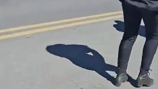 《神雕侠侣》中的神雕真的存在