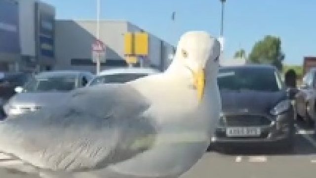 你小子看不起我？