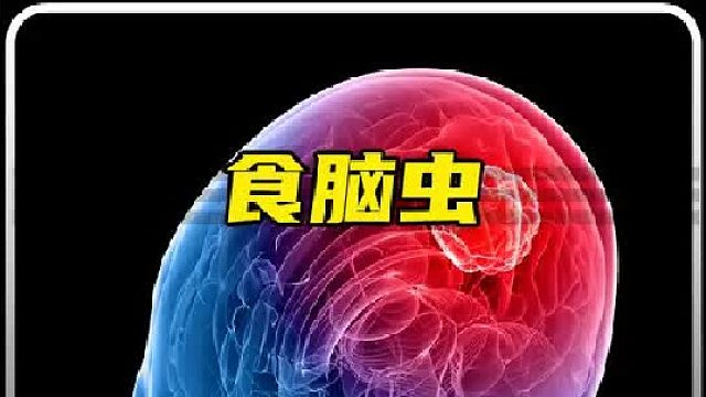 食脑虫你听说过吗，这种虫子进入人体的致死率高达97%！