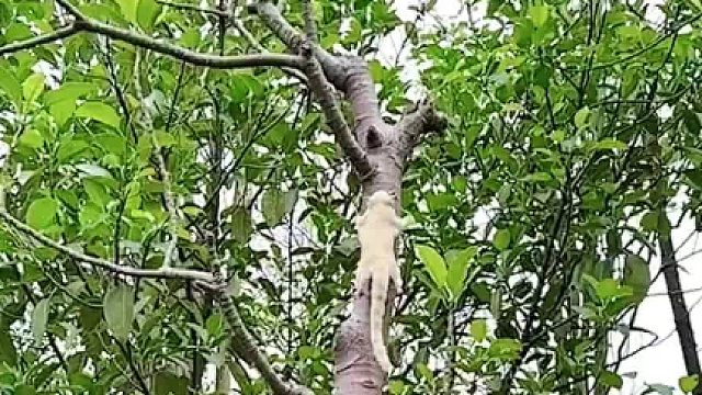 日落是免费的，春夏秋冬也是，不要觉得人生那么无望，希望你快乐