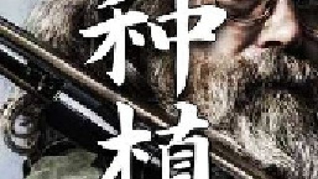 分开种在一起的两株番茄苗需要十分小心避免拔坏本就脆弱的根系