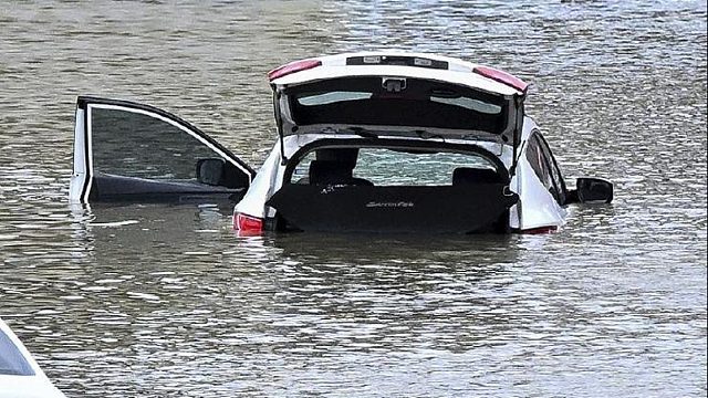 慢是保命符，怂是护身符...你细品！#雨天出行 #竹节草