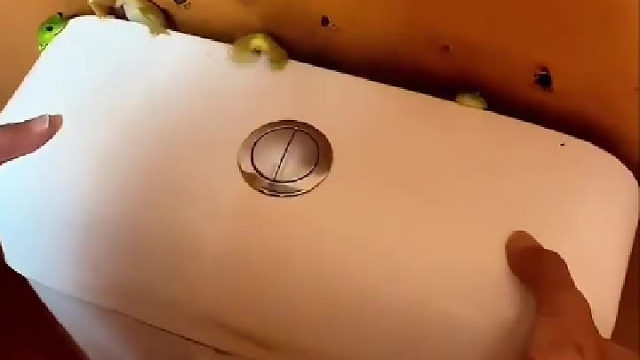 这是那种剧毒蛙吗？