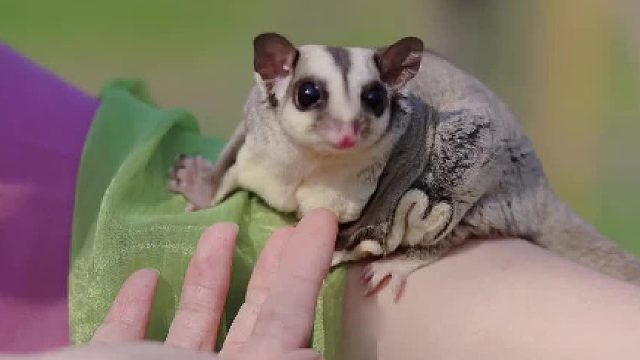 好花不常开，好景不常在。