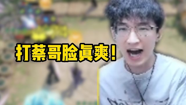 打蔡哥脸真爽！