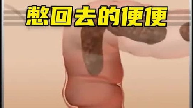 我一直很好奇，那些被我们身体憋回去的便便最终会去向何方