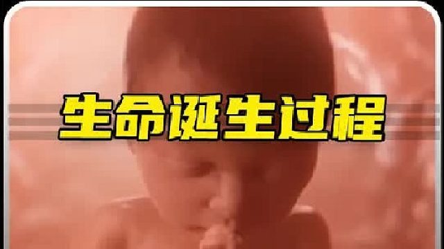 一个视频带你了解如何从小蝌蚪到人。 可以说屏幕前的每一位都是冠军！
