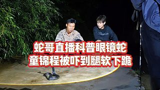 【童錦程】蛇哥直播科普眼鏡蛇，童錦程被嚇到腿軟下跪