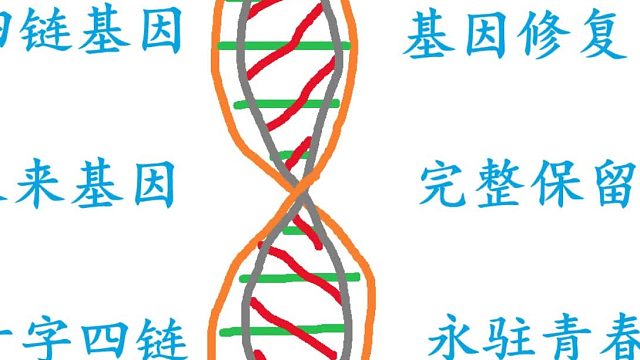 未来基因，永驻青春