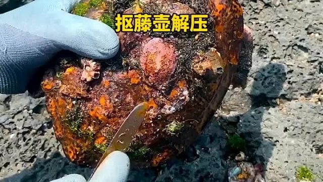 抠藤壶视频真解压呀