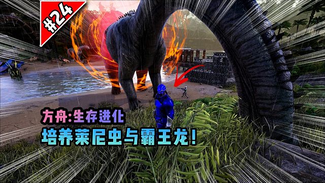 方舟第24期：培养莱尼虫与小霸王龙！