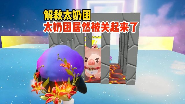 太奶团居然变成了小猪猪而且还被关了起来