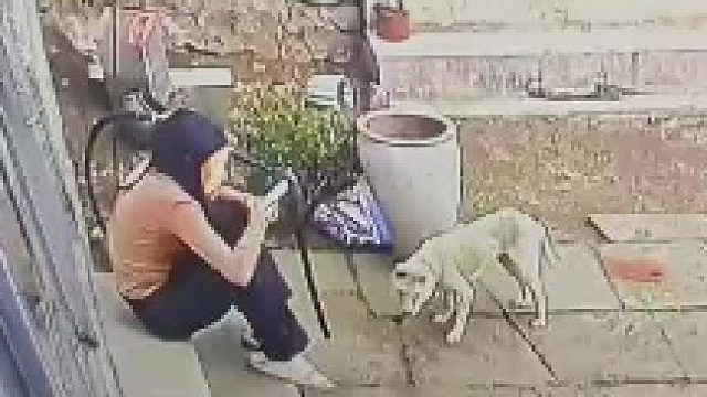 女子起身准备进屋时，怎料狗狗直接被吓晕，网友：百兽之王的压迫