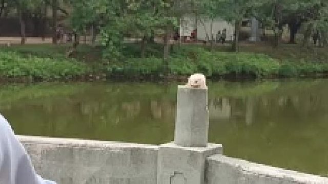 预判了它的预判。