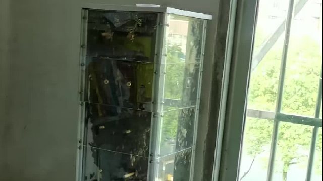 别人家的蜜蜂已经出门采了几个小时的蜜，我这个还没出门