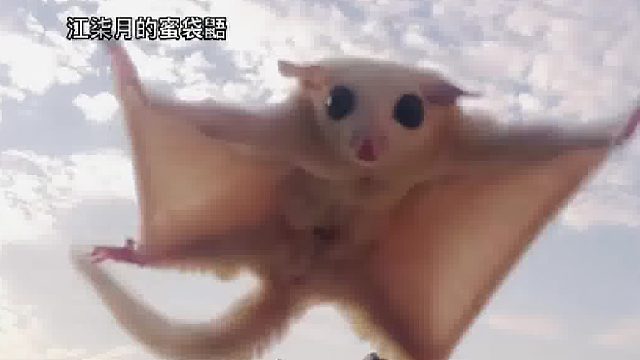 别让任何人消耗你内心的明朗，生活应该被热爱的人和事填满。