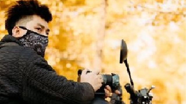 属于秋天的银杏叶