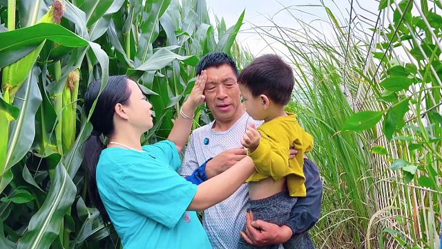公公去玉米地干活，看看儿媳做了啥？这样的儿媳真暖心